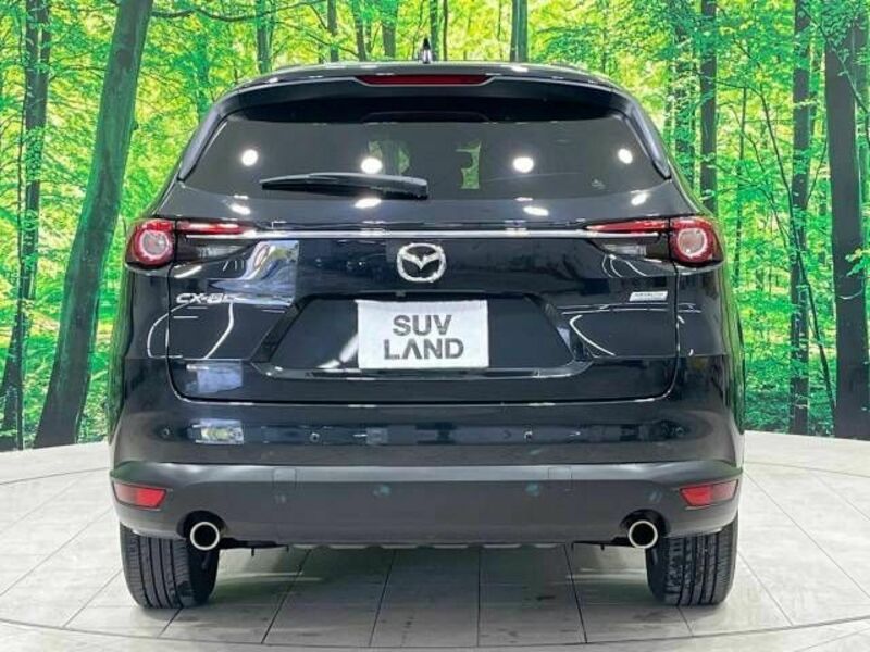 CX-8