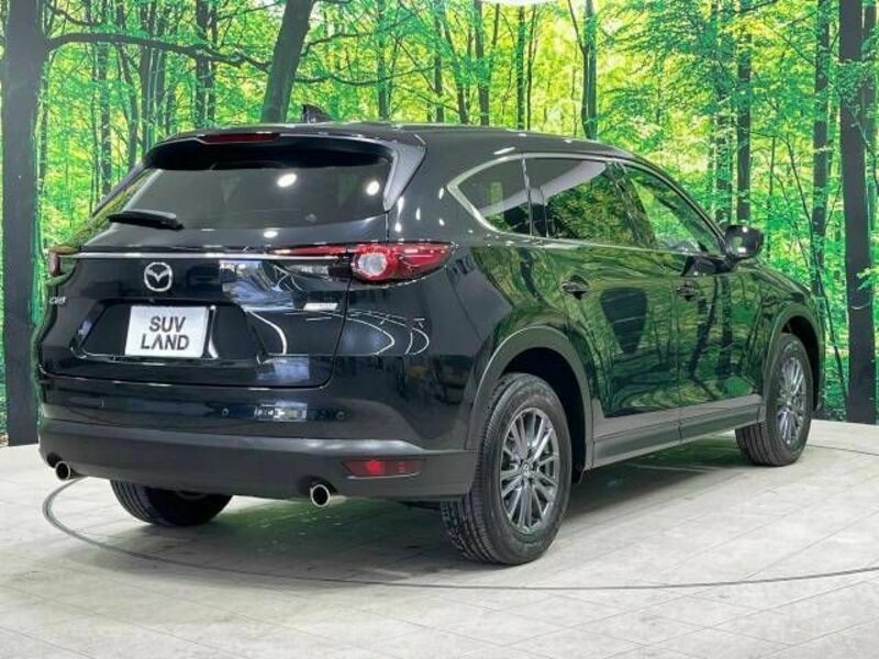 CX-8