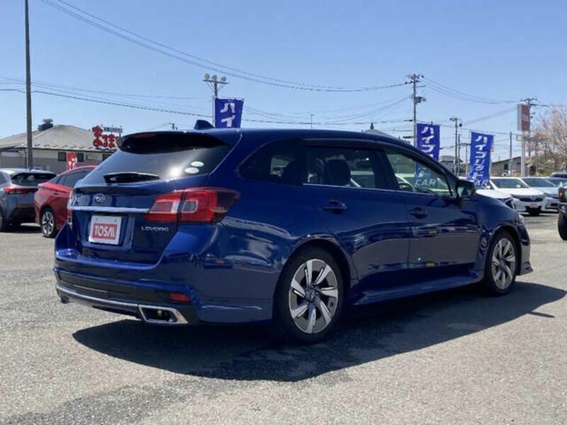 LEVORG