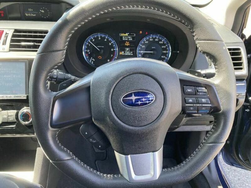 LEVORG