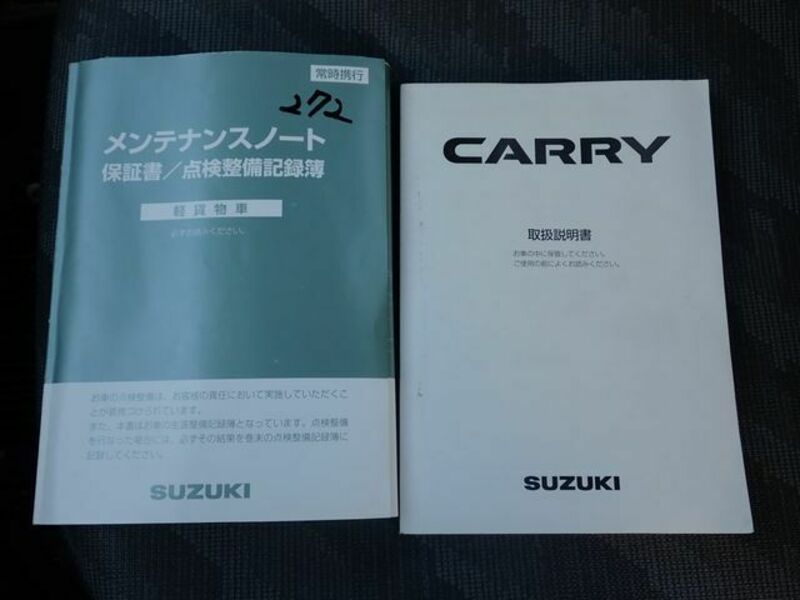 CARRY TRUCK-21