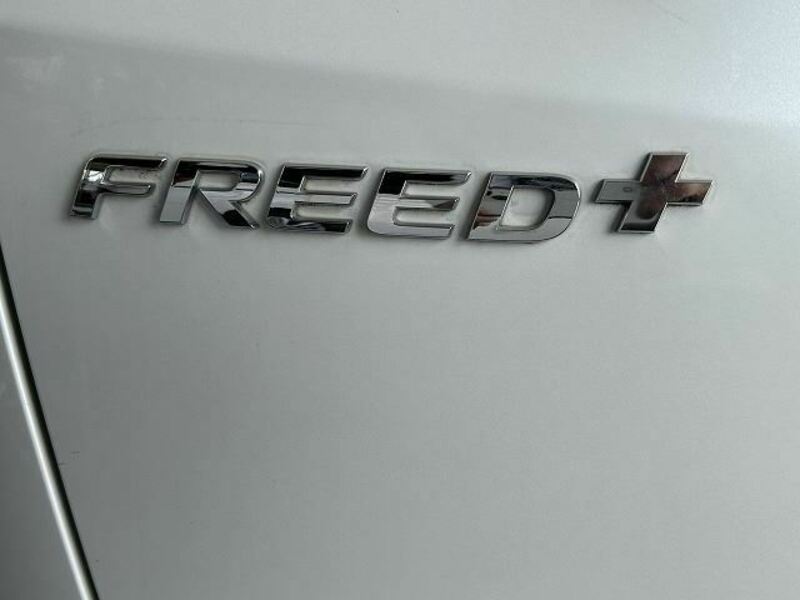 FREED+
