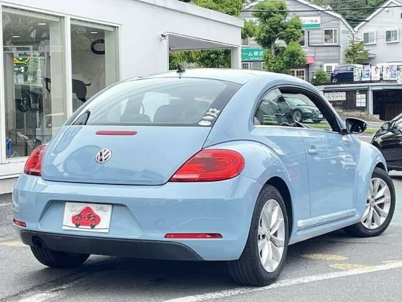 THE BEETLE