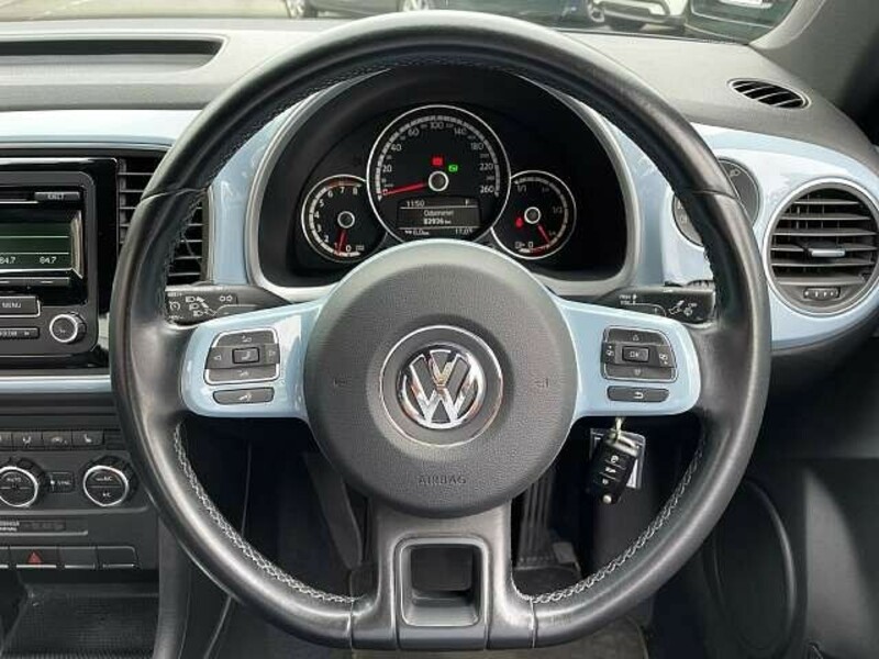 THE BEETLE