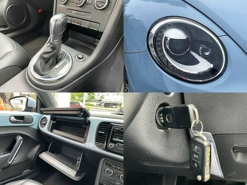 THE BEETLE