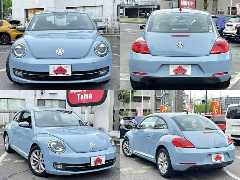 THE BEETLE