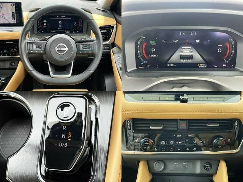 X-TRAIL