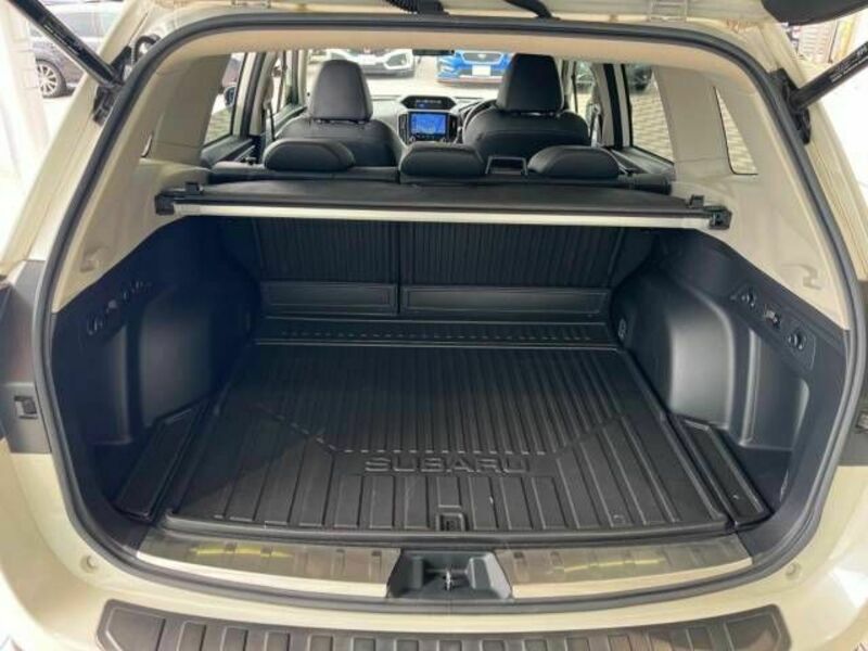 FORESTER-12