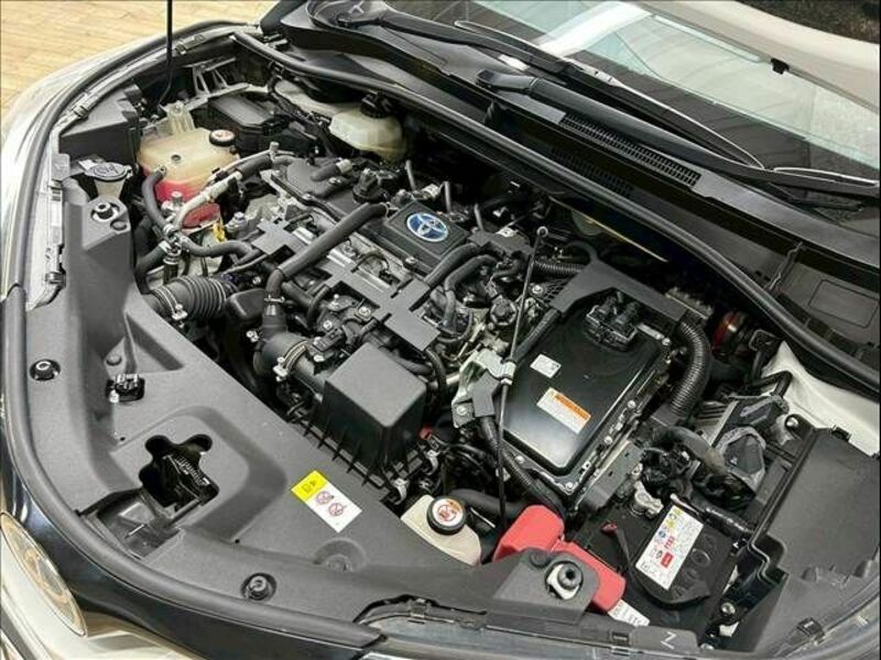 C-HR-13