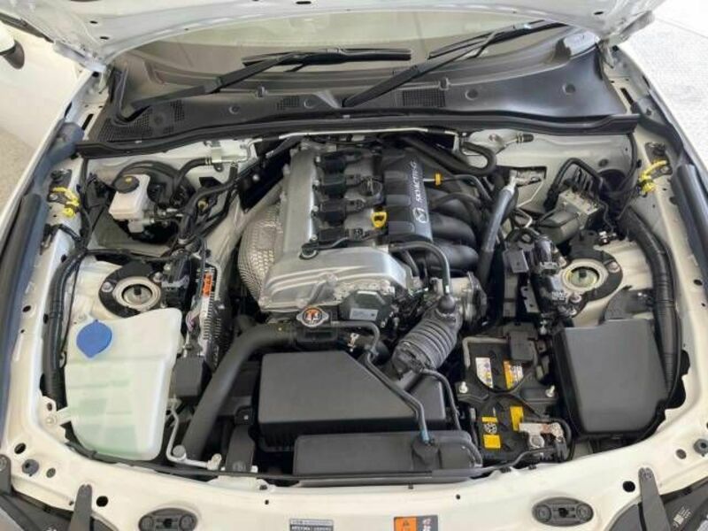ROADSTER RF