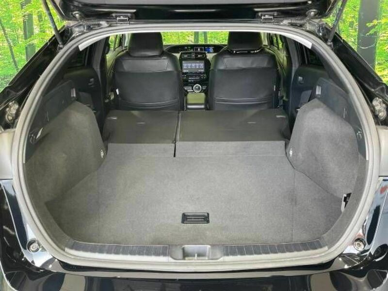 PRIUS-9