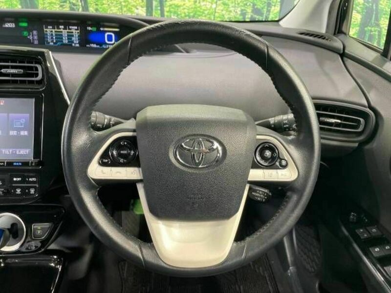 PRIUS-10