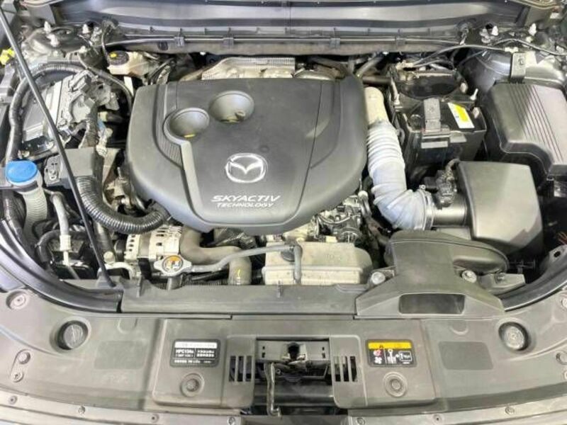 CX-8