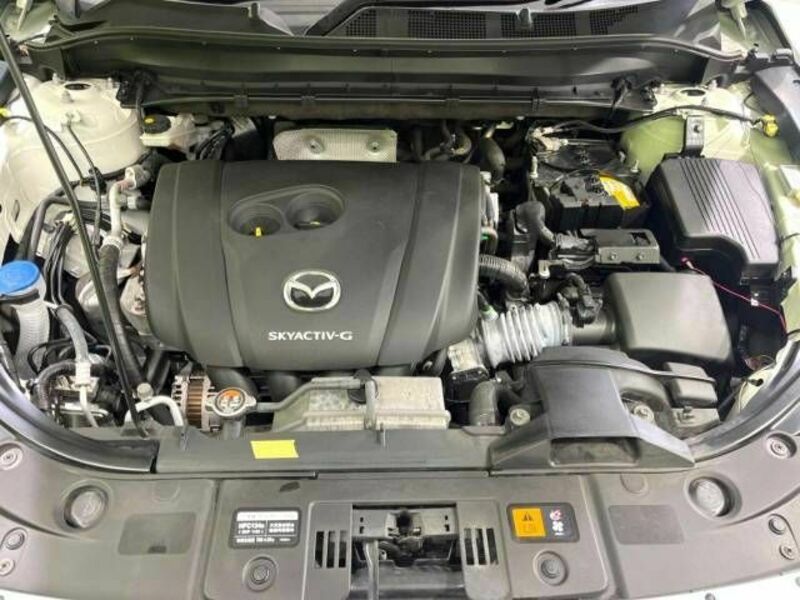 CX-8