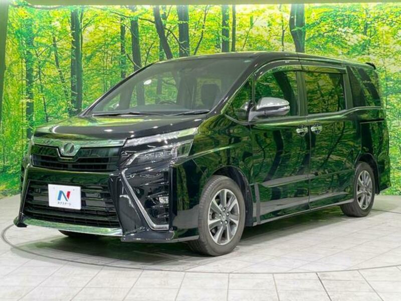 VOXY-17