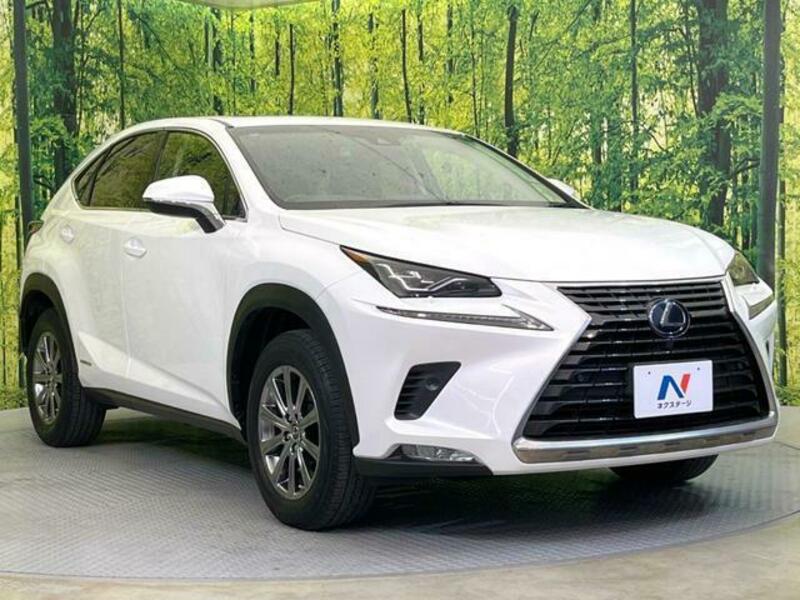 NX
