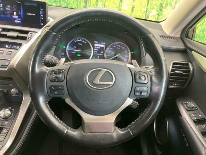 NX
