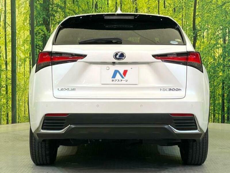 NX