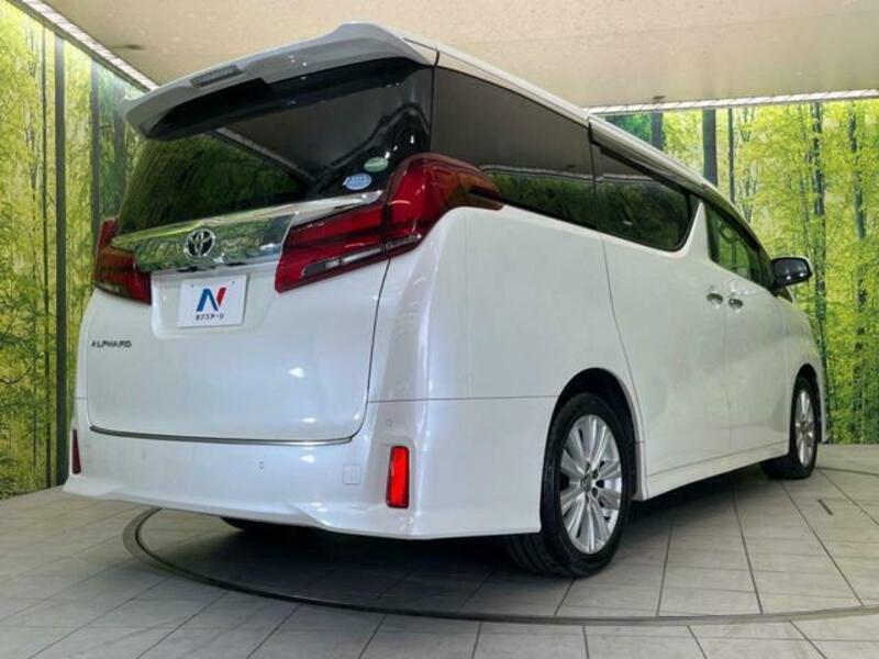 ALPHARD-17