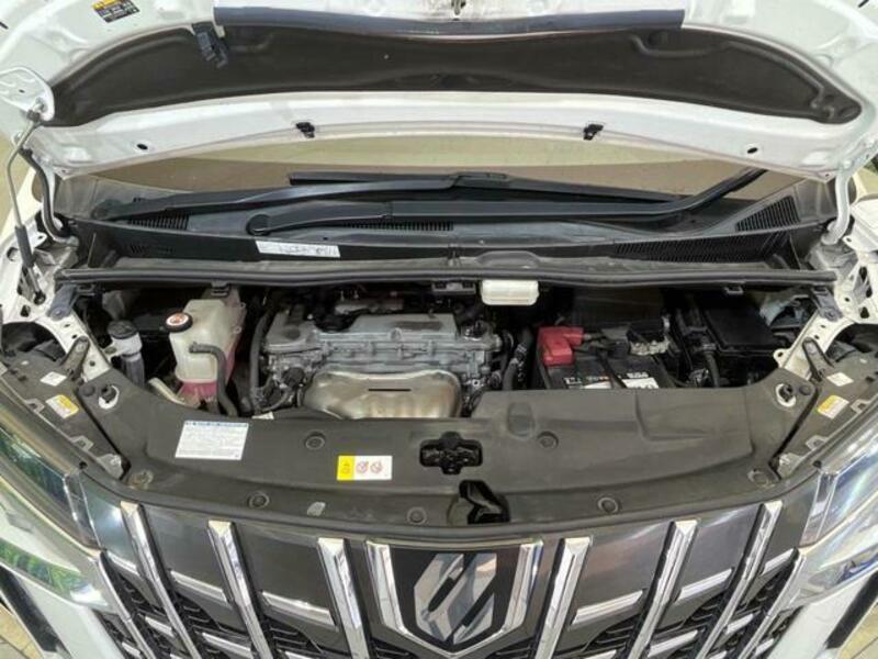 ALPHARD-18