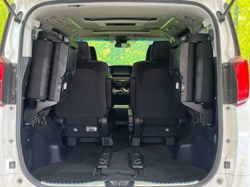 ALPHARD-10