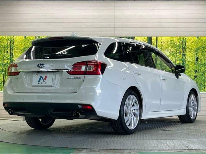 LEVORG