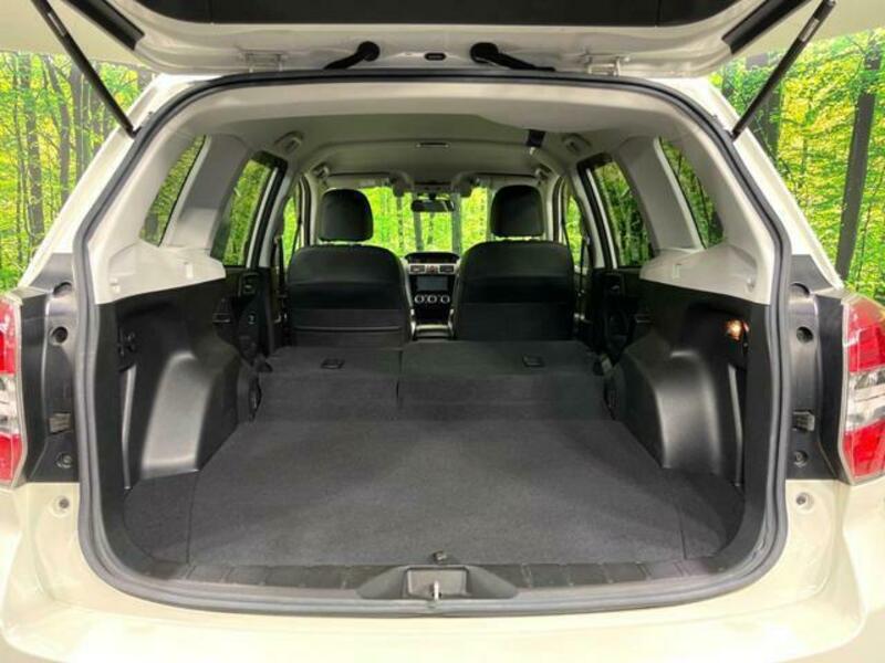 FORESTER-9