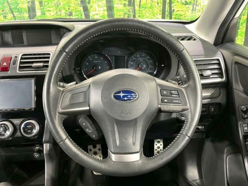 FORESTER-10