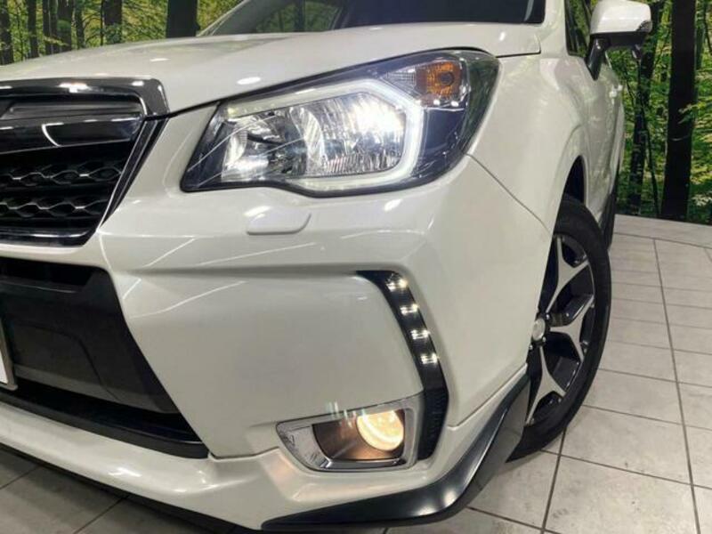FORESTER-11