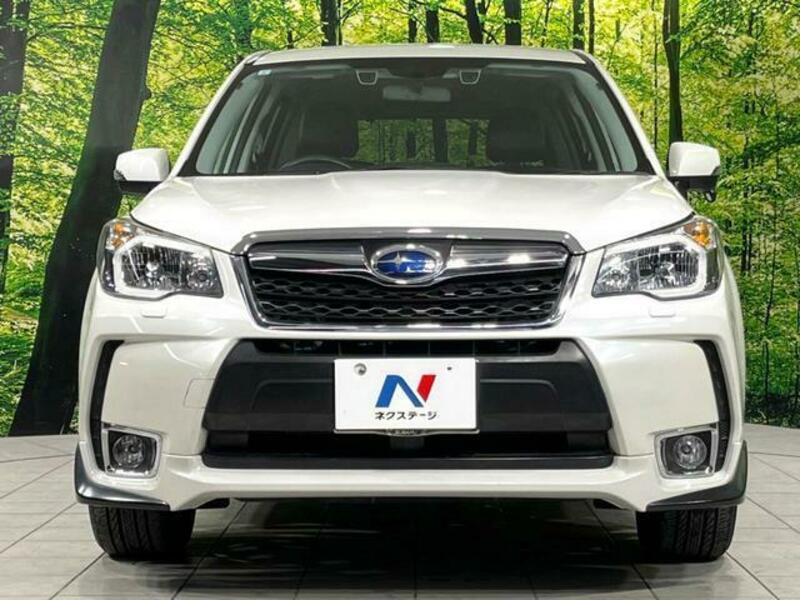 FORESTER-13