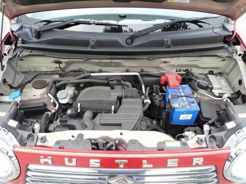 HUSTLER