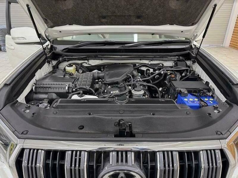 LAND CRUISER PRADO-13