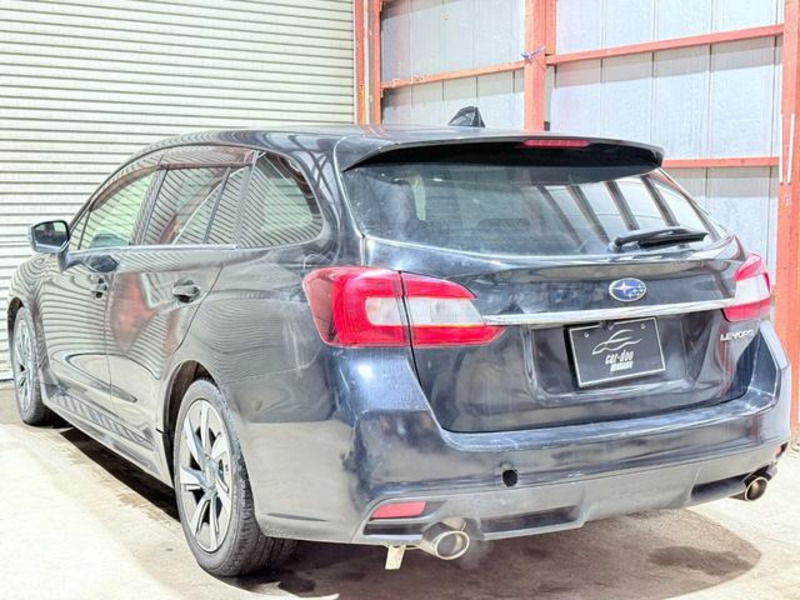 LEVORG
