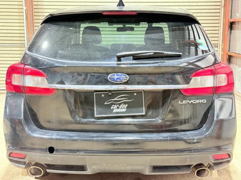 LEVORG