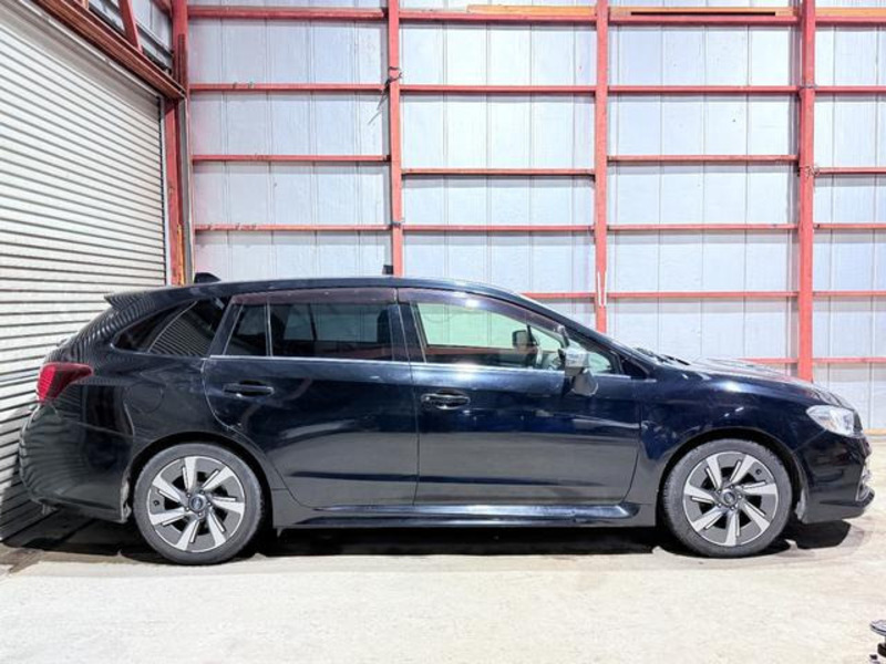LEVORG