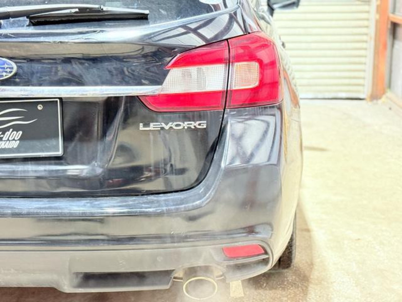 LEVORG