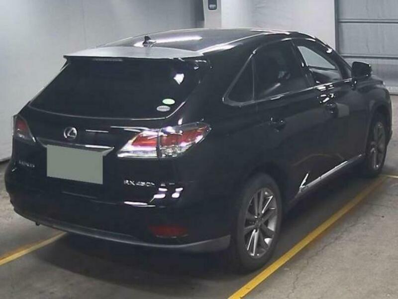 RX