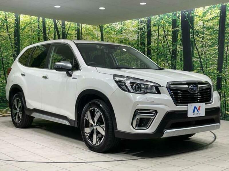 FORESTER-16
