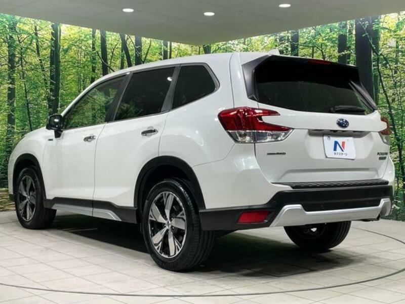 FORESTER-17