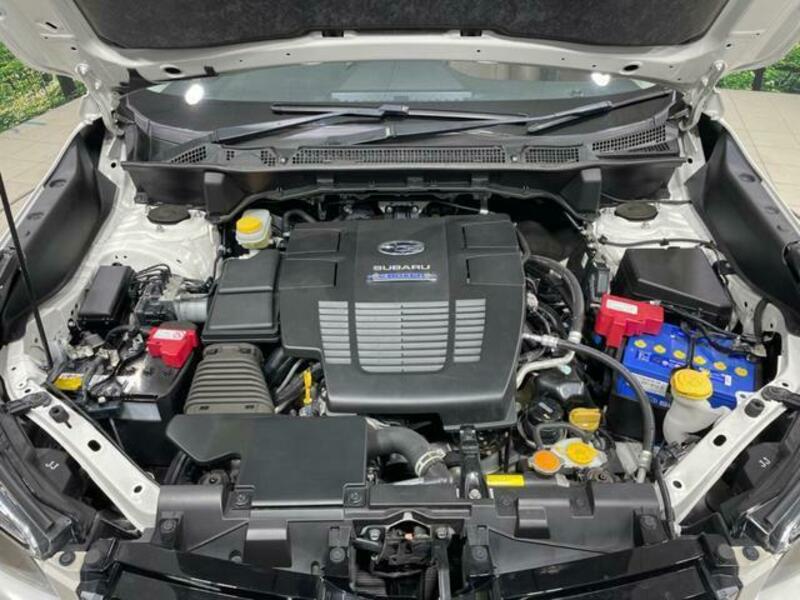 FORESTER-18