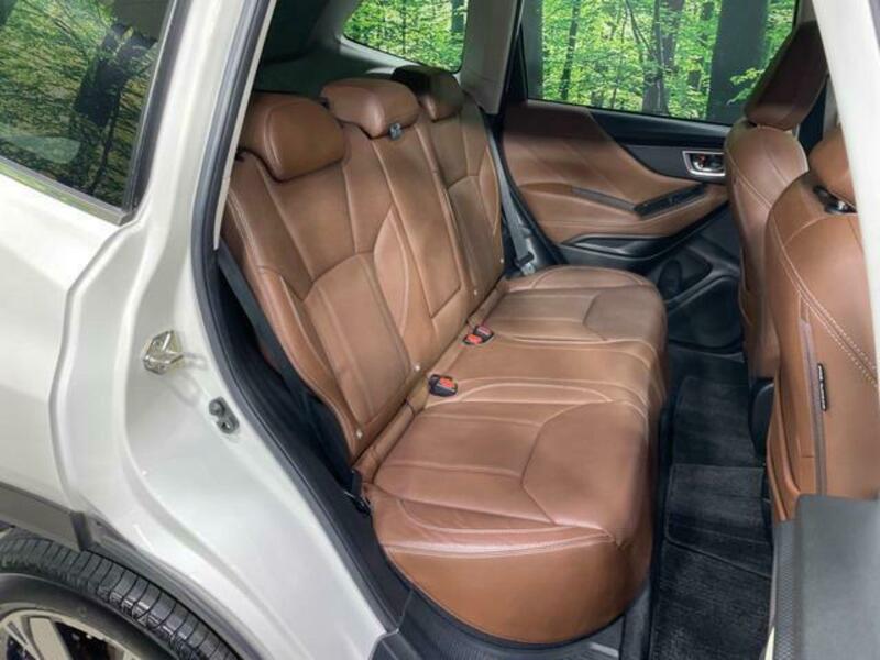 FORESTER-9