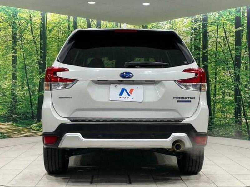 FORESTER-1