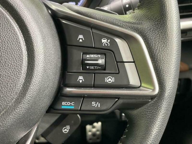 FORESTER-3