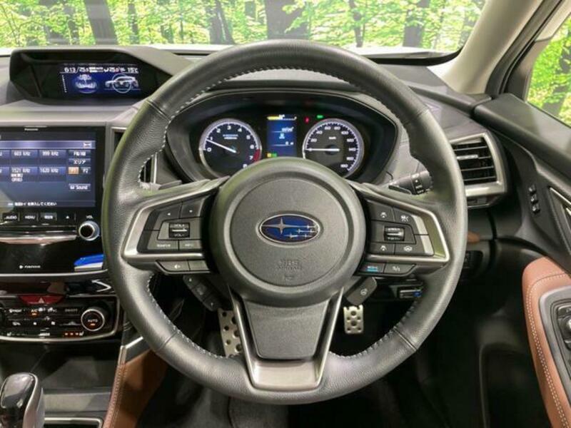 FORESTER-10