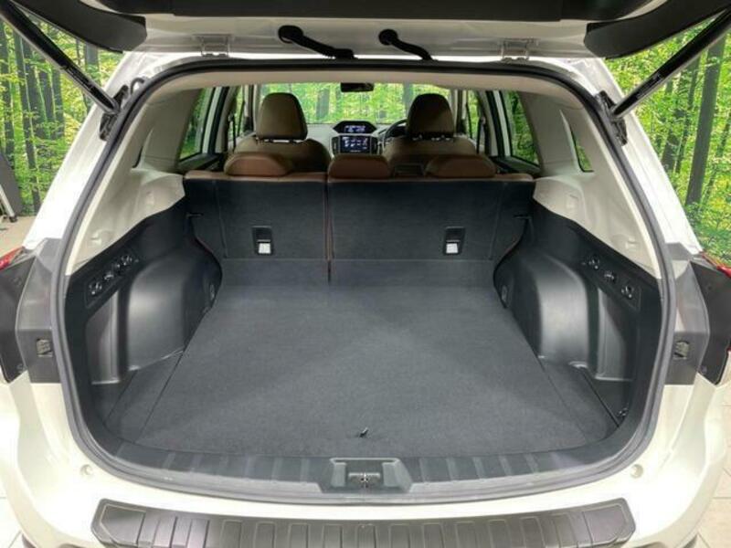 FORESTER-11