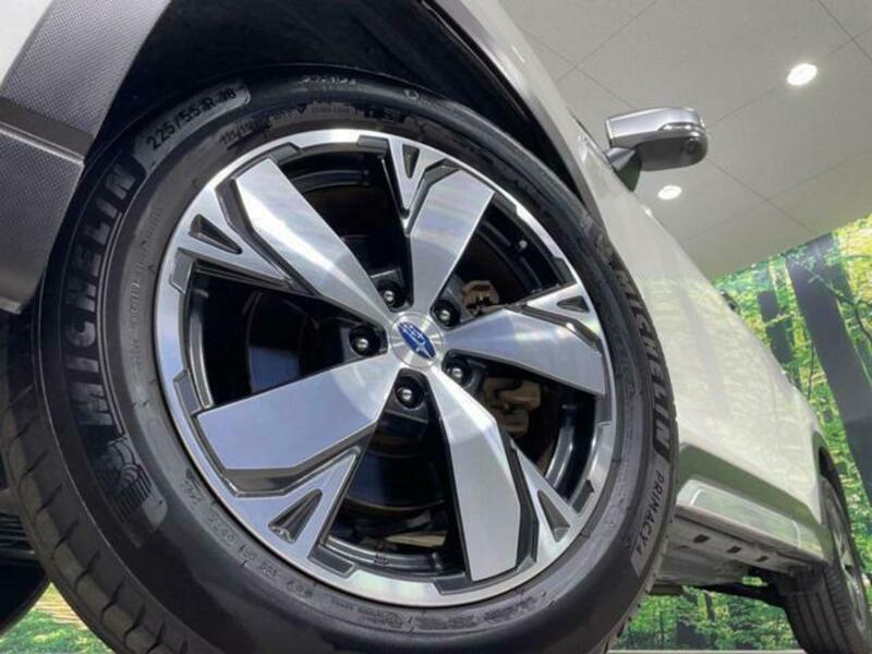 FORESTER-12