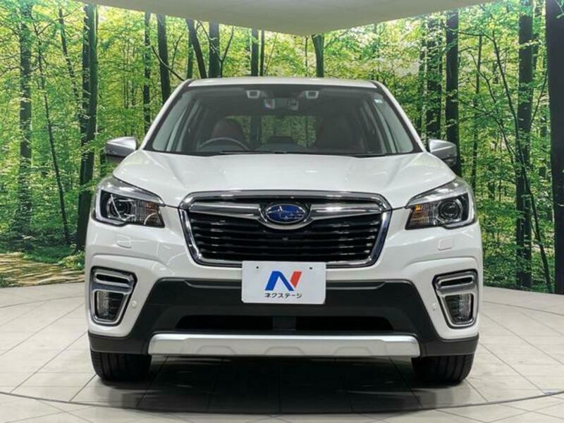 FORESTER-14