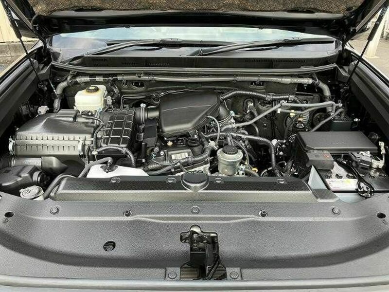 LAND CRUISER PRADO-19