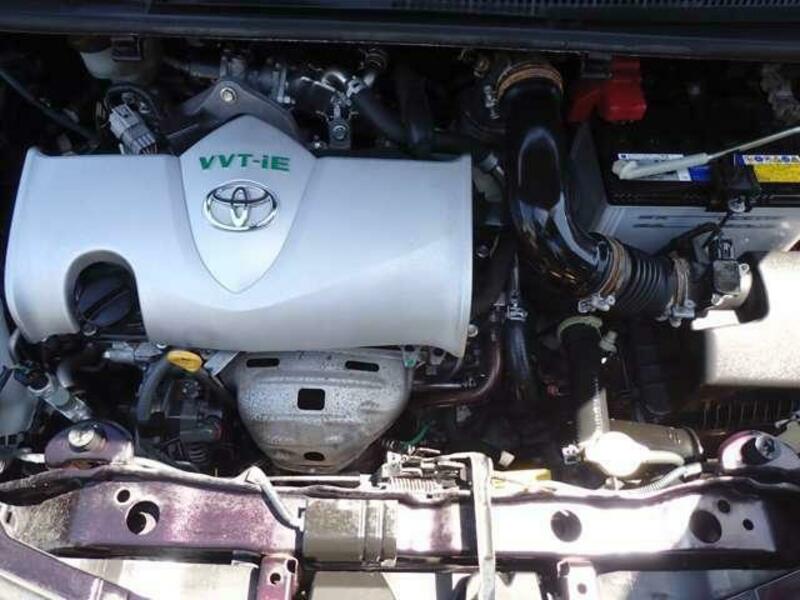 VITZ-13