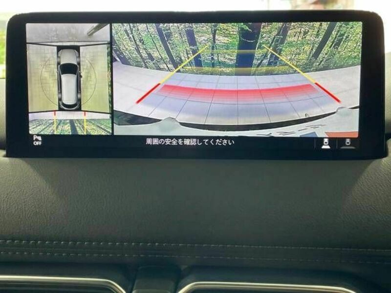 CX-8-2